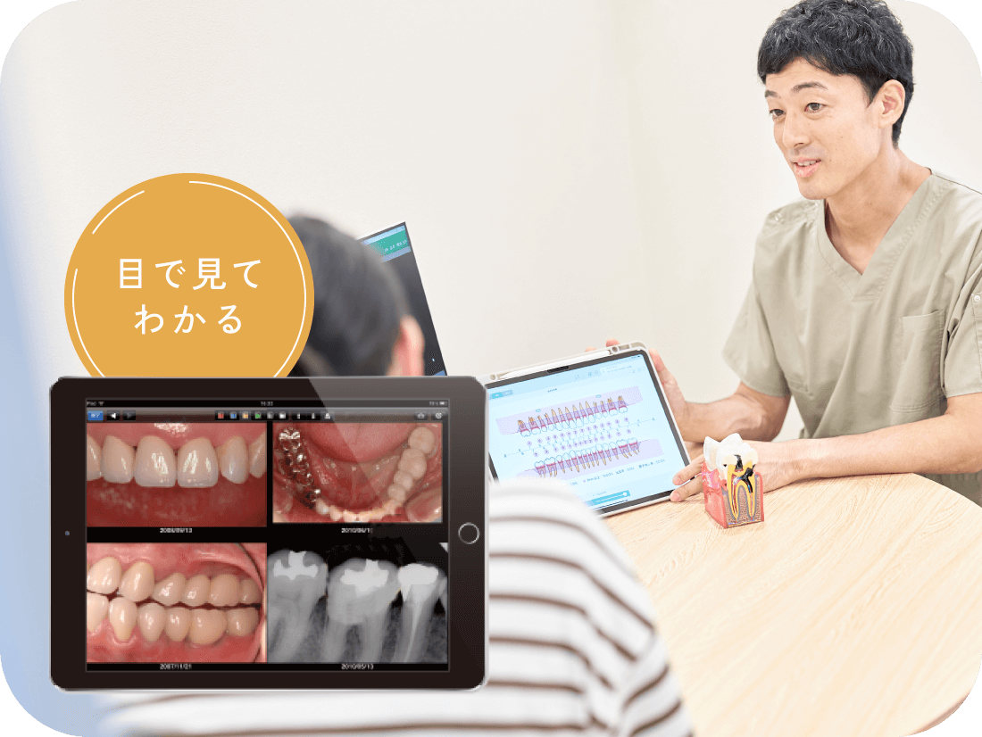 目で見てわかる