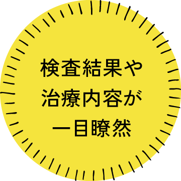 検査結果や治療内容が一目瞭然