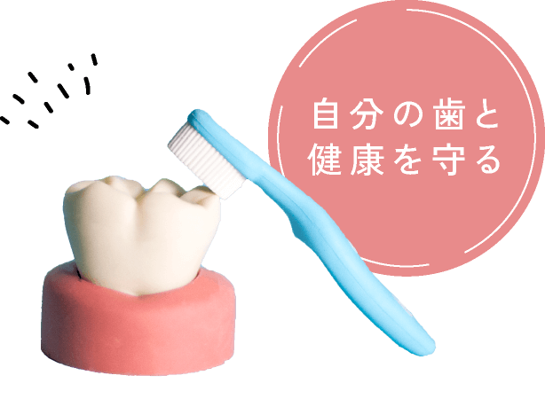 自分の歯と健康を守る