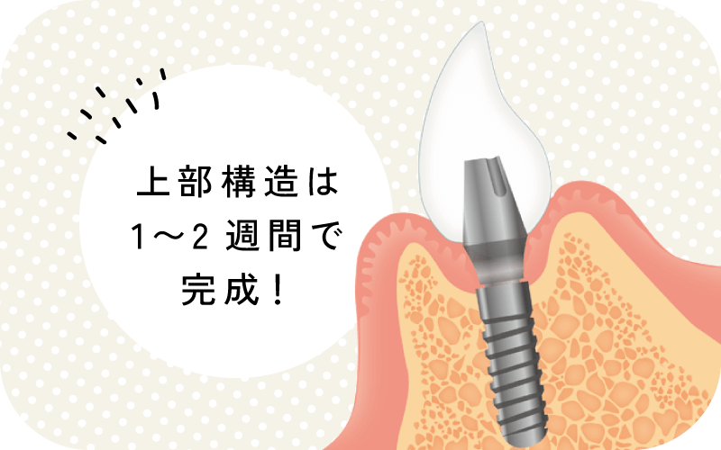上部構造は1〜2週間で完成!