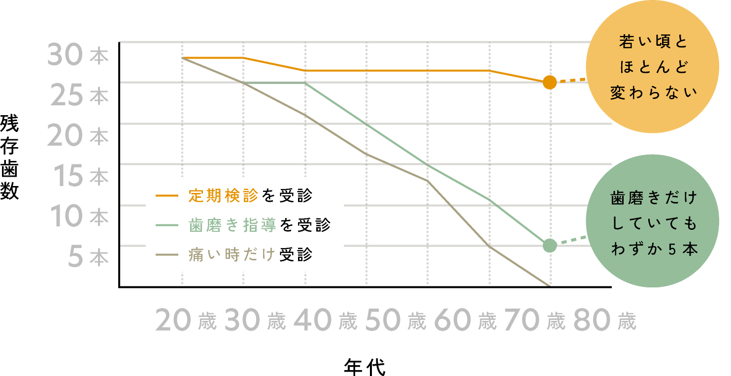 歯科医院のかかり方と残存歯数